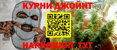 сатива Заводоуковск