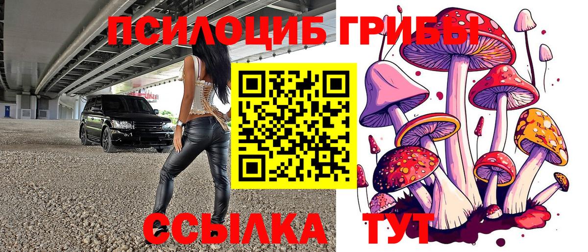 купить закладку  Вход с VPN  Кумертау  Галлюциногенные грибы Magic Shrooms 
